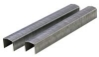 STCR26193--8_web_detail.jpg
